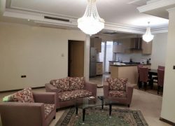 اجاره آپارتمان مبله در خیابان دیباجی تهران