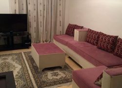 اجاره سوئیت مبله در تهران – خیابان سرباز