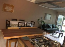 اجاره آپارتمان مبله در تهران – دربند