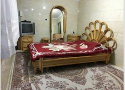 سوئیت مبله در آیت الله کاشانی تهران