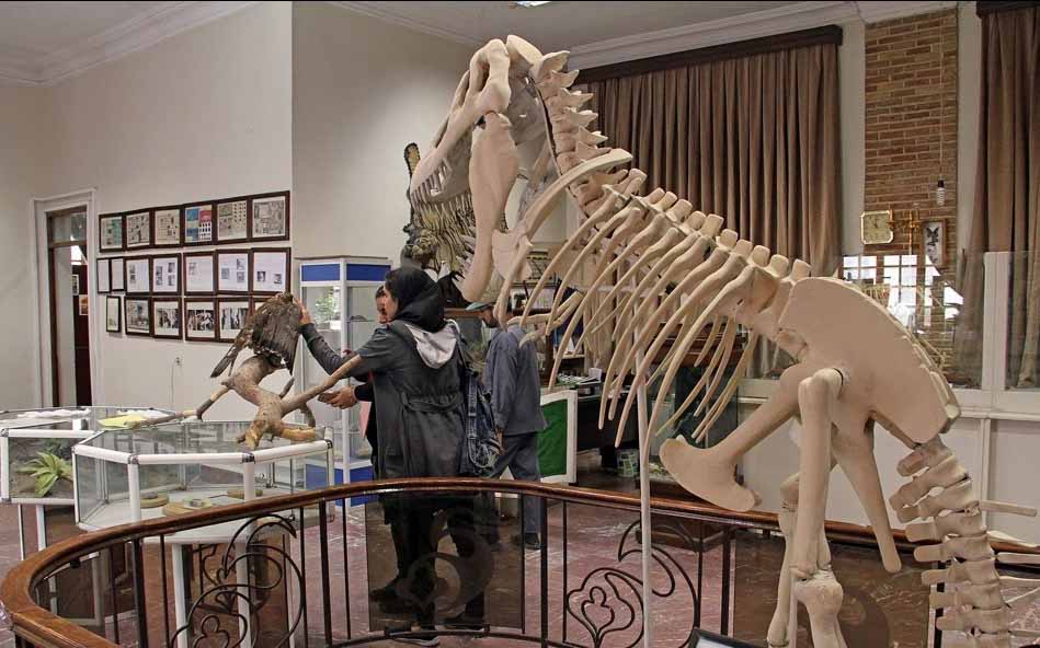 موزه حیات‌وحش هفت‌چنار؛ از جمله جاهای دیدنی تهران