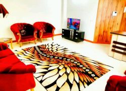 اقامتی متفاوت و بیادماندنی در نصف جهان