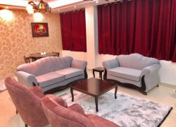 آپارتمان مبله یک خوابه در پاسداران