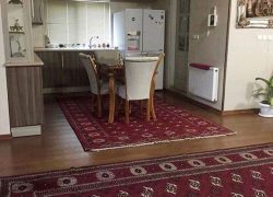 آپارتمان مبله دوبلکس در تهران ( خ شریعتی پل صدر)