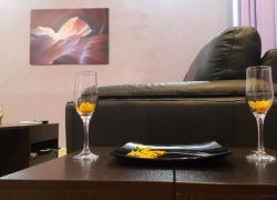 اجاره آپارتمان مبله لوکس در خ شریعتی پل صدر