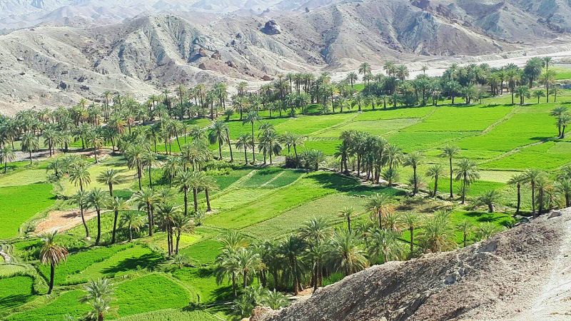 قصر قند از عکس دیدنی های سیستان و بلوچستان